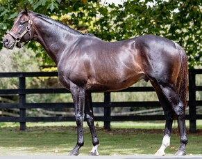 Wrote service fee unchanged