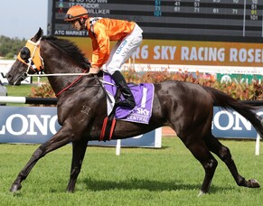 Ace High nomination for sale to support Taranaki Breeders&#039; Stakes