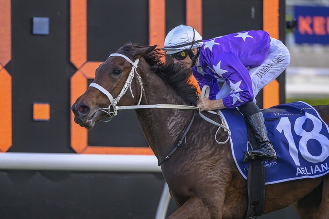 Aeliana winning last Saturday's Gr.1 Australian Derby (2400m).  - Photo: Bradleyphotos.com.au