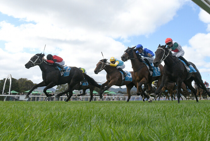 Vegas Queen prevails in a dramatic finish to the Wellington Guineas.   - Photo: Peter Rubery (Race Images)