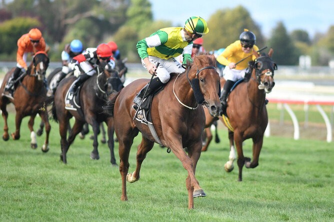 Rider Ryan Elliot has time to take a good look around as Beauden is well clear in the Gr.2 City Of Palmerston North Awapuni Gold Cup (2000m) Photo Credit: Race Images