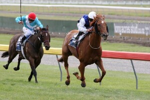 Kisses - Photo NZTM website