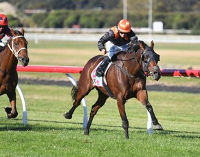 Mehzebeen takes Hawke&rsquo;s Bay Cup