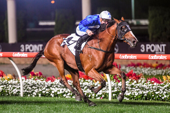 Prix De Turn wins the Gr.2 Alister Clark Stakes (2040m) at The Valley Photo Credit: Brett Holburt – Racing Photos