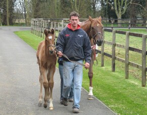 Bruce&#039;s Blog &ndash; March (wk 2) 2008