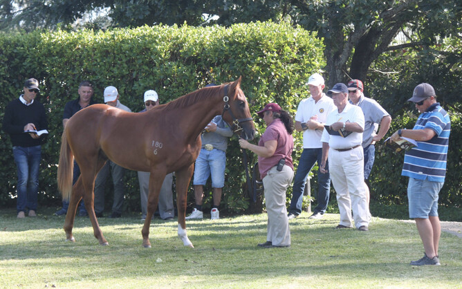 Stu Hale Yearling Tour