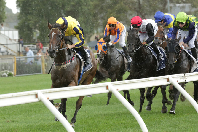 Molly Bloom takes out the Gr.2 David & Karyn Ellis Fillies Classic at Te Rapa. - Photo: Trish Dunell