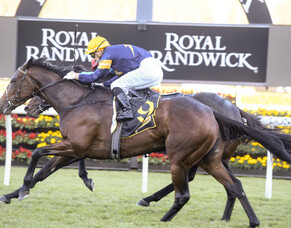 Curraghmore a proven source of Group winners