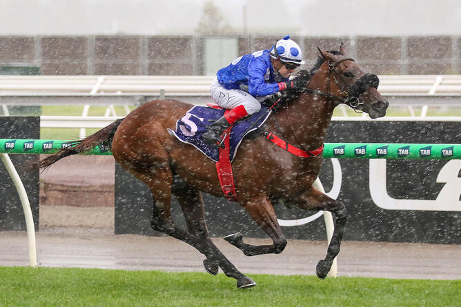 Wrote To Arataki taking out the Gr. 3 VRC Frances Tressady Stakes. - Photo: Bruno Cannatelli