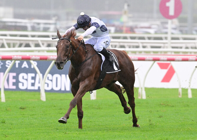 Campaldino powers home to claim victory in the Group 3 Queen Elizabeth II Cup at Eagle Farm.  - Photo: Grant Peters