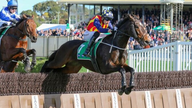 Heberite on his way to winning the Grand Annual Steeplechase (5500m) at Warrnambool on Thursday  - Photo: Bruno Cannatelli