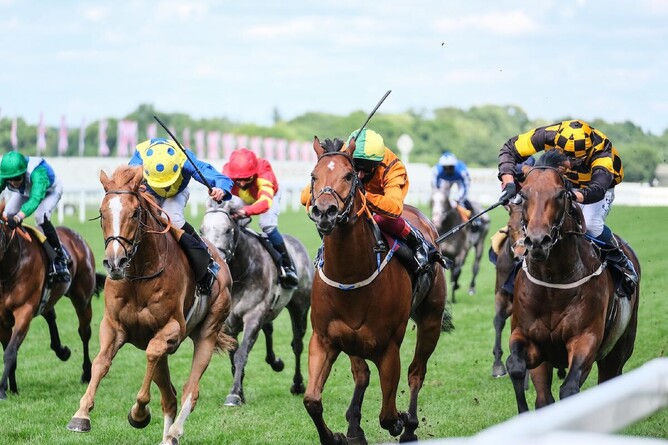 Hello Youmzain (far right), sporting the colours of Cambridge Stud proprietors Brendan and Jo Lindsay, takes out the second Group One sprint of his career when winning the Gr.1 Diamond Jubilee Stakes (1200m) at Royal Ascot overnight. Photo: Supplied