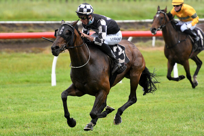 Justaskme and Sam O’Malley take out the Gr.2 Gartshore Tauranga Stakes (1600m) Photo Credit: Race Images – Kenton Wright