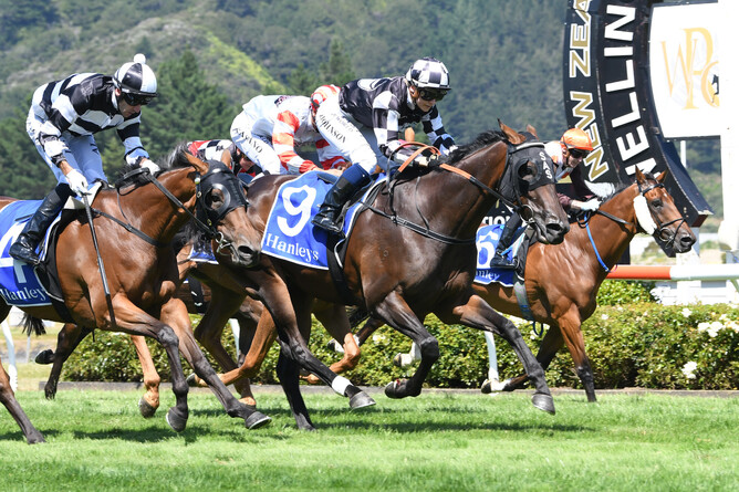 Our Hail Mary (9) adds black type to her record with a win in the Gr.3 Dixon & Dunlop Trentham Stakes (2100m)