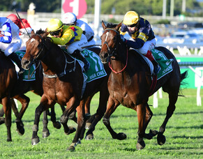 Tofane outclasses rivals to claim Stradbroke