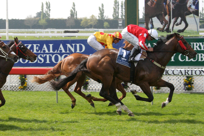 New career awaiting El Doute - Race Images South