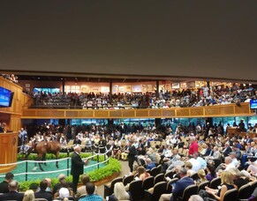 Scholarship Blog: Sunline Scholarship recipient David Morris latest update on his last placement