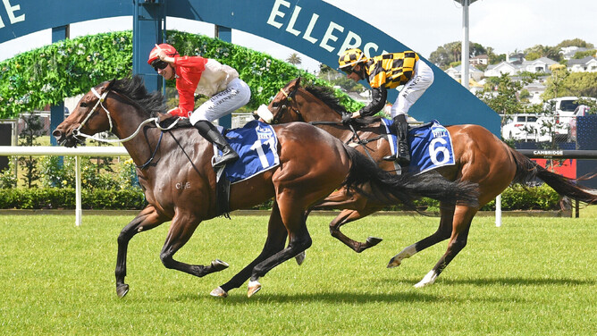 Bourbon Empress winning the Gr.2 Rich Hill Mile (1600m) at Ellerslie on New Year's Day.   - Photo: Kenton Wright (Race Images)