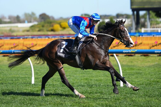 Zambardo cruises to victory at Caulfield in October - Photo: Scott Barbour/Racing Photos