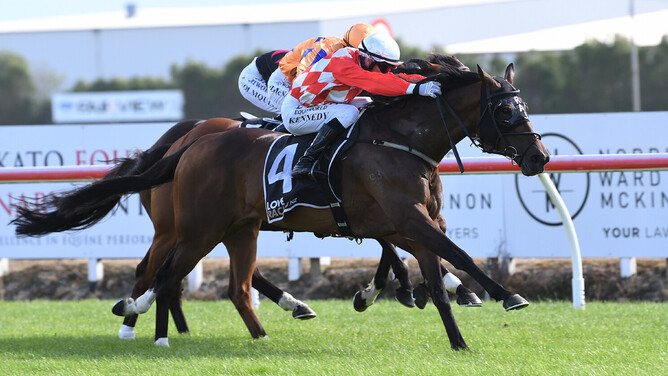 Warren Kennedy drives Dionysus to victory in the Gr.3 SkyCity Hamilton Waikato Cup (2400m) at Te Rapa. - Photo: Kenton Wright (Race Images)