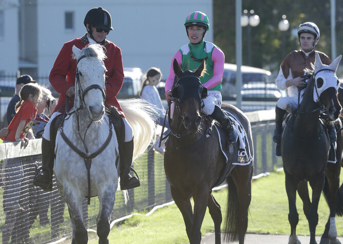 Kozzi Asano brings Wessex back to the Rotorua birdcage after their front-running success - Photo: Trish Dunell