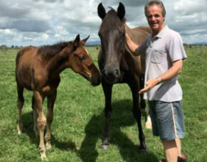 Dunstan Feeds - Under the Radar