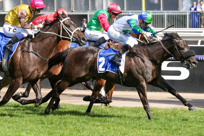 Group One winner Skew Wiff has been retired from racing.   - Photo: Bruno Cannatelli