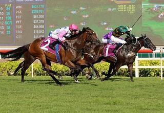 Debt Collector (Thorn Park) pictured winning the Listed Singapore Raffles Cup