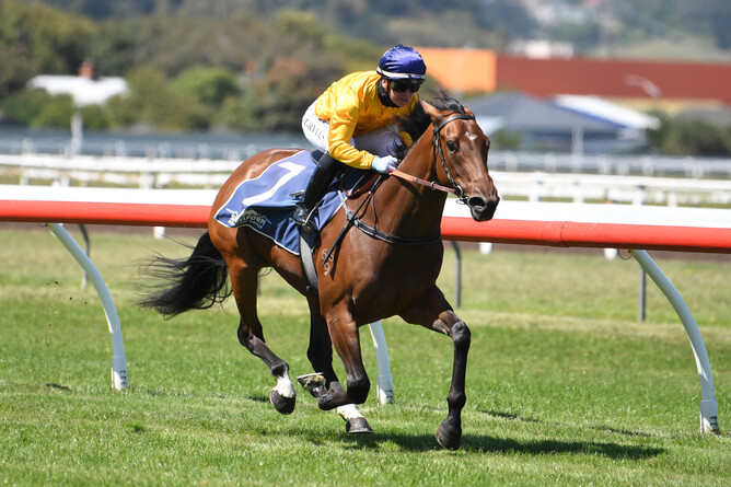 Perfectly Suited winning at Wanganui on Thursday. Photo: Peter Rubery (Race Images Palmerston North)