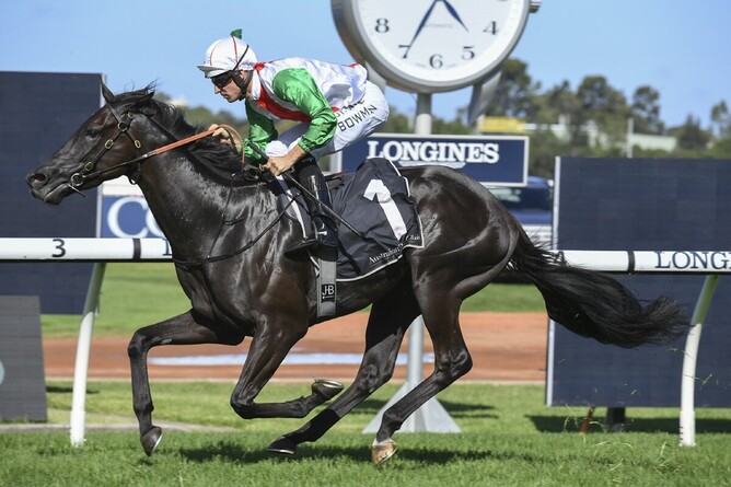 Star New Zealand three-year-old Aegon gallops clear in the Gr.2 Hobartville Stakes (1400m)  at Rosehill Photo Credit: Bradleyphotos.com.au
