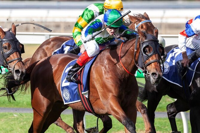 Fabric has boosted her broodmare value with a victory in the Gr.2 Queen of the South S. (1600m). Photo credit: Atkins Photography
