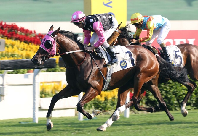 John Moore-trained Beauty Generation (No.1), with Zac Purton on board, takes the G3 Celebration Cup (1400m) at Sha Tin Racecourse  - HKJC