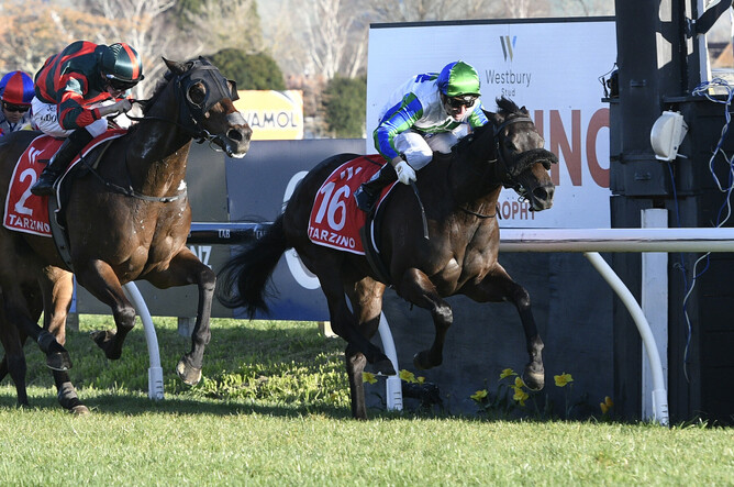 Skew Wiff winning the Gr.1 Tarzino Trophy (1400m) at Hastings on Saturday. - Photo: Peter Rubery, Race Images