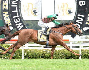 Breeder on top of the world after filly lands Group 1