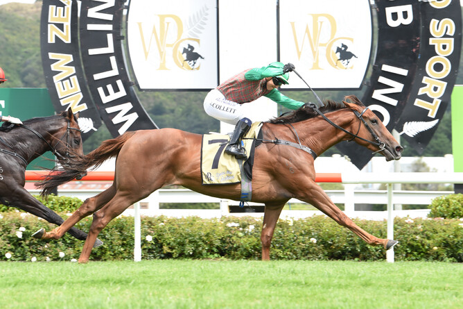 Travelling Light on her way to Group One success - Race Images