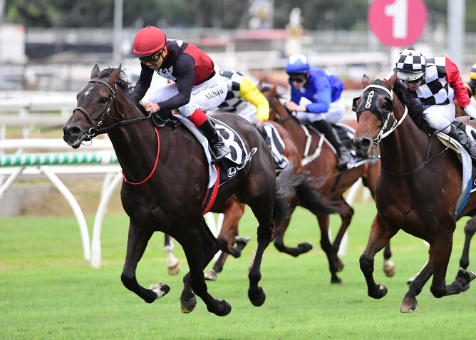 Supergiant on his way to his Group Three win. Photo: Grant Peters