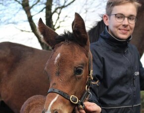 Sunline Management Scholarship - Dorian Kos blog