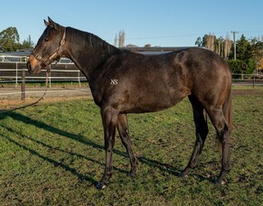 Yesberg hoping for strong sale