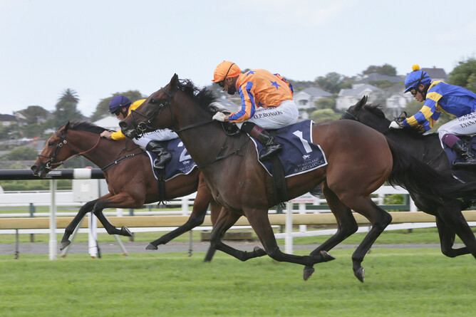 Amarelinha is about to collar Needle And Thread (inner) as they close on the finish line in the Gr.3 McKee Family Sunline Vase (2100m) at Ellerslie Photo: Trish Dunell