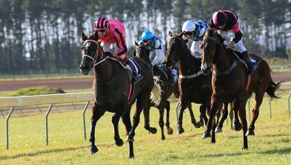 Bechtolsheimer wins the Whangarei Cup - Photo NZTM website