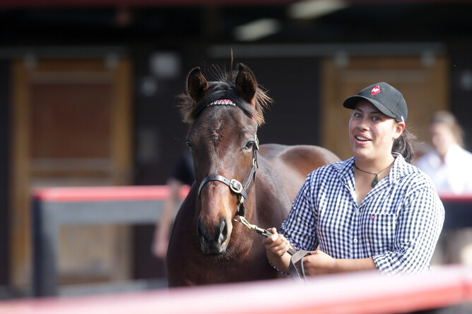 Lot 78, the Almanzor colt out of Group One performer Girl Of My Dreams, was purchased from Haunui Farm’s draft by Mark Baker for $145,000. Photo: Trish Dunell