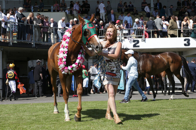 Ocean Billy after winning the Gr.3 Skycity Hamilton Waikato Cup. - Photo: Trish Dunell