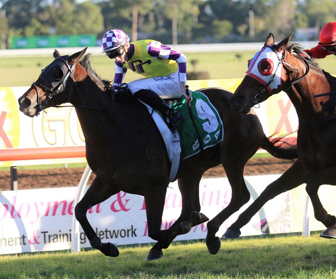 Sacred Day winning the Listed Grafton Cup (2350m). - Photo: Darren Winningham (Horse Racing Only)