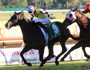 21st birthday present delivers golden result in Grafton Cup