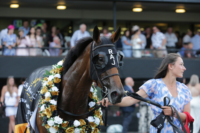 Dual Group One winner Prowess has been retired. - Photo: Trish Dunell