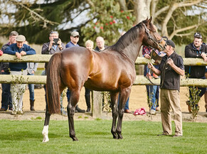 First winner for Atlante