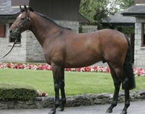 White Robe Lodge’s stellar weekend