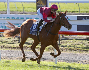 Finishing School's daughter Prom Queen notches another win for Windsor Park Stud