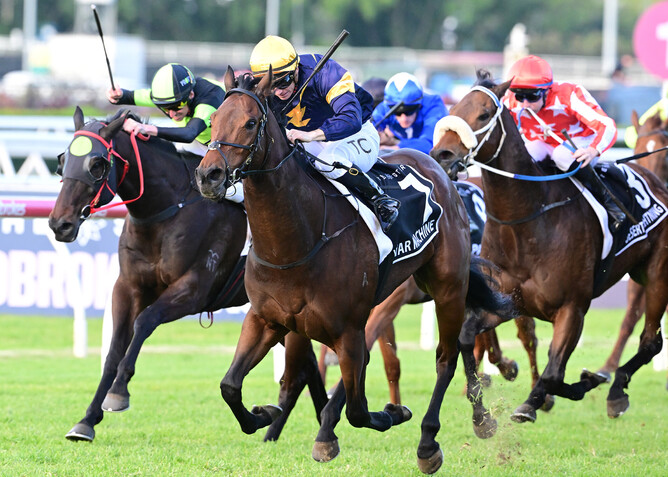 War Machine produces a commanding performance to claim the Group One Stradbroke Handicap at Eagle Farm. - Photo: Grant Peters