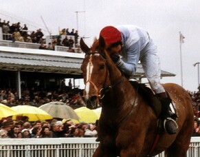 Obituary NZTBA Life Member Jeanette Broome